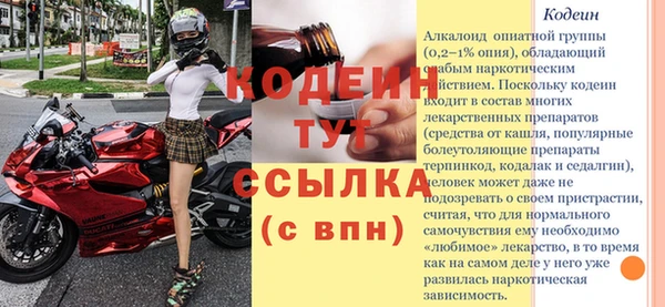 МДПВ Вяземский