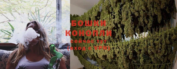 МДПВ Вяземский