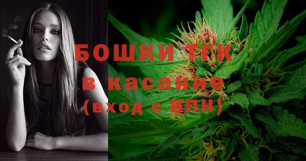 МДПВ Вяземский