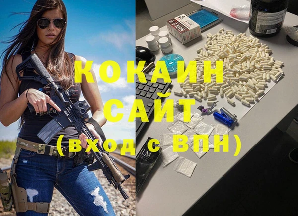МДПВ Вяземский