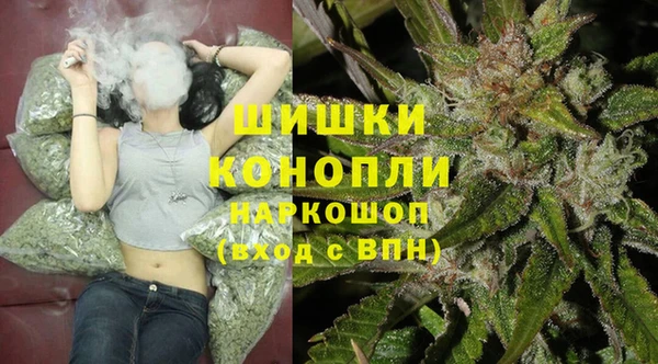 МДПВ Вяземский