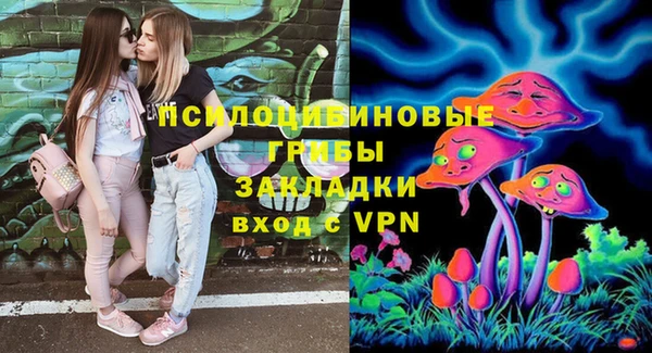 МДПВ Вяземский