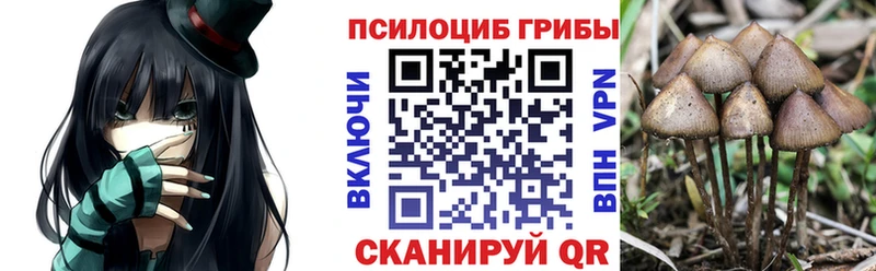 Галлюциногенные грибы Cubensis Купить закладки Мышкин